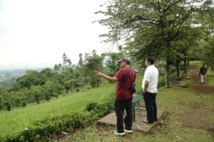 Tinjau Kebun Mawar Situhapa, Bupati Garut Dorong Pengembangan Wisata Berbasis Lingkungan