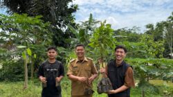 Pendampingan PKSM Ubah Lahan Kritis di Desa Tegallega Jadi Produktif