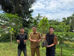 Pendampingan PKSM Ubah Lahan Kritis di Desa Tegallega Jadi Produktif