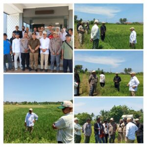 Dirjen Kementerian Pertanian Sidak Langsung ke Lahan Pertanian di Cibalong Jumat, 3 April 2026