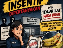 Insentif Dipertanyakan dan Temuan Ulat pada Buah, Pengelolaan Dapur MBG Labuan 006 Caringin Disorot