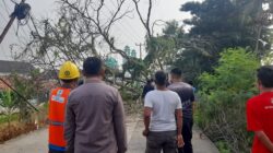 Respon Cepat Penanganan Pohon Tumbang di Lebakwangi IWO Indonesia Apresiasi Sinergi Lintas Sektoral.