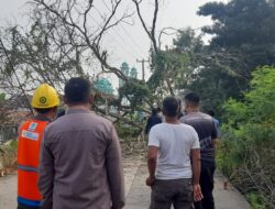 Respon Cepat Penanganan Pohon Tumbang di Lebakwangi IWO Indonesia Apresiasi Sinergi Lintas Sektoral.
