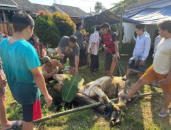 14 Warga Griya Rafada I The View Kendal Berqurban, Wujud Syukur dan Kepedulian Sosial di Iduladha