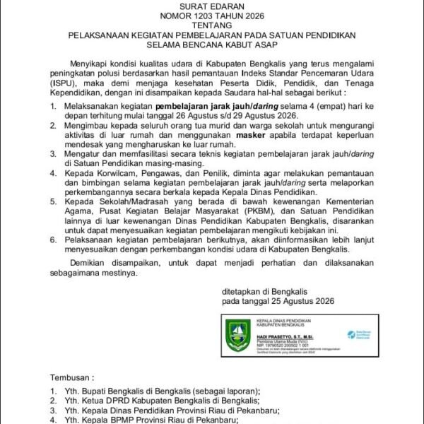 WA_1787677296806