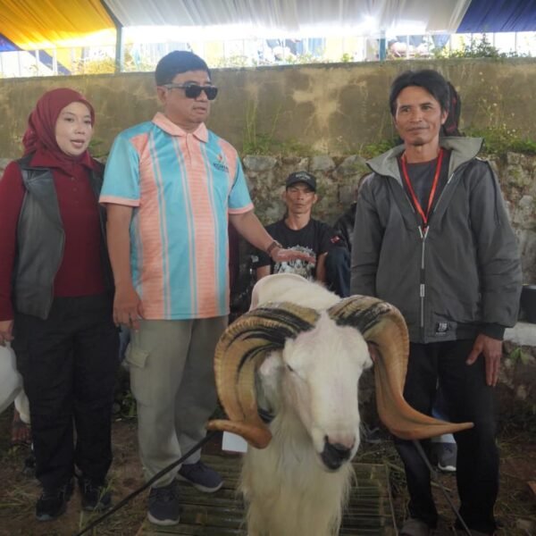 IMG-20260913-WA0015